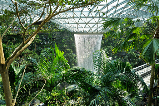 Singapore 06 August 2023: Rain Vortex; the largest indoor waterfall in the world located inside the Jewel in Changi Airport.