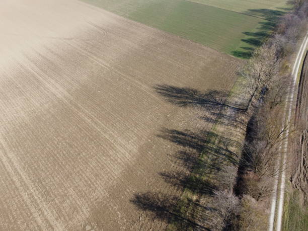 istock Long shadows from avenue deciduous trees at springtime in Bavaria 1648614839
