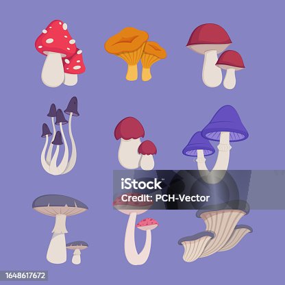 istock Mushrooms with different cap shapes vector illustrations set 1648617672