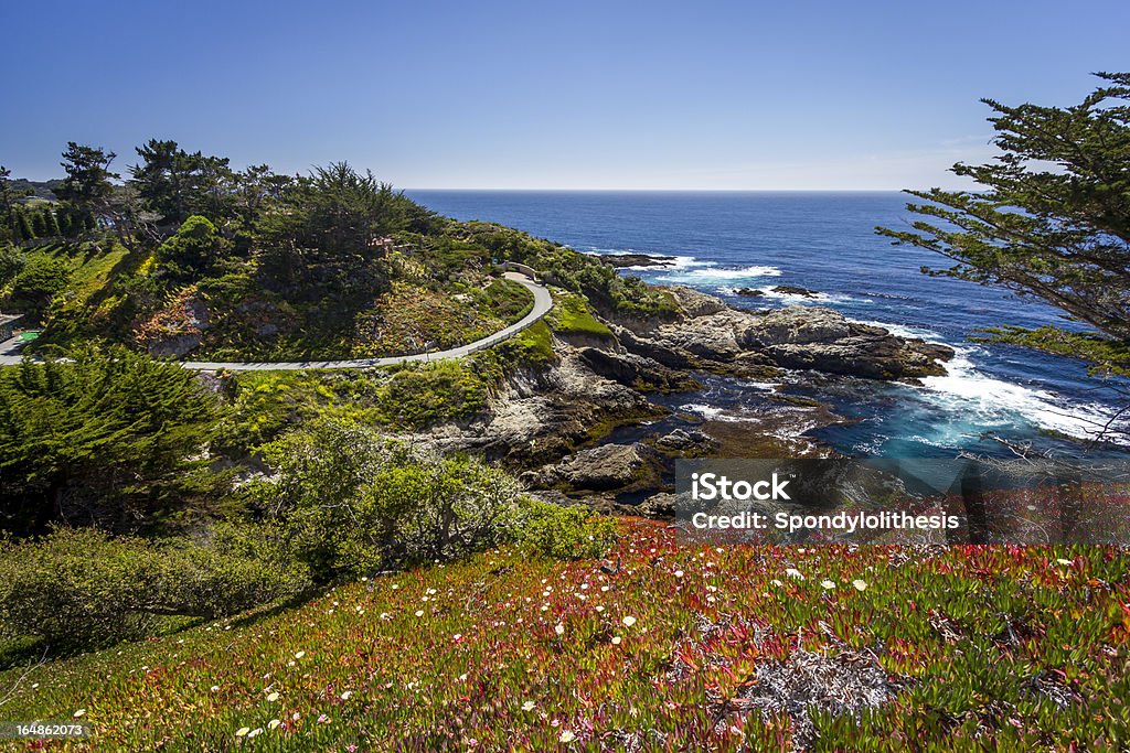 Big Sur Sur la plage - Photo de Carmel - Californie libre de droits