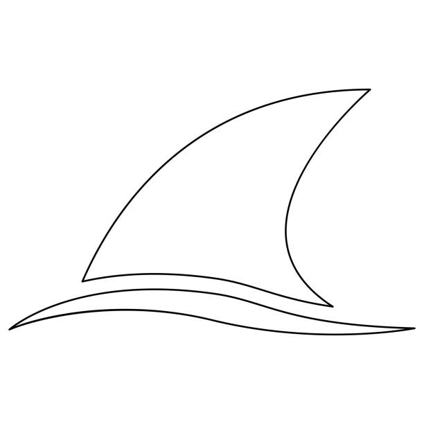 Fin Outline Shark Fin Clipart Black And White
