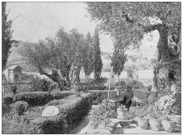 istock Antique image from British magazine: Garden of Gethsemane 1648625361
