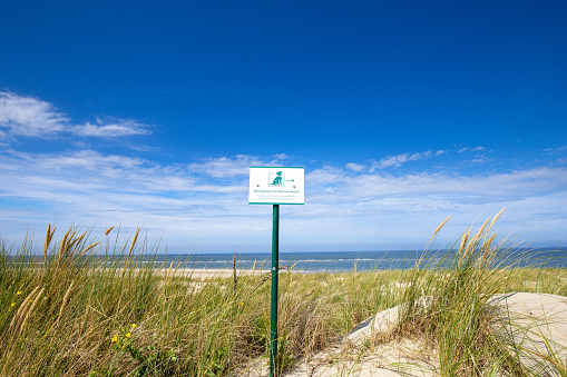 Barnstable, Massachusetts, USA -October 19, 2020- A sign at Sandy Neck Beach in Barnstable, Massachusetts warns swimmers and waders of the danger of sharks and rip currents in the water.