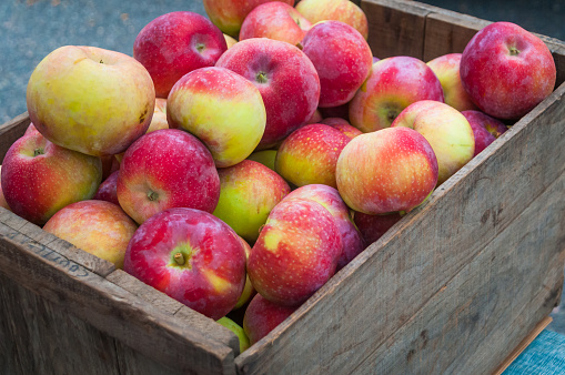 A crate of fresh fall apples in a wooden crate at a weekly farmers market on Cape Cod.