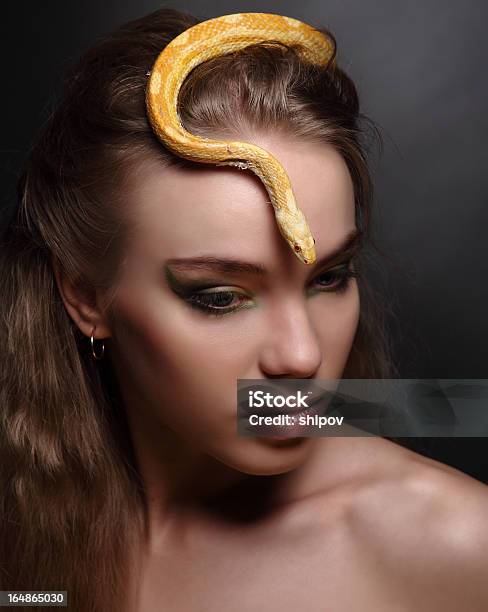 Mulher E Cobra - Fotografias de stock e mais imagens de Adulto - Adulto, Amarelo, Animal