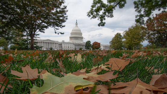 Aging Population and Elderly Elected Officials