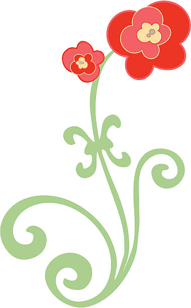 rote blumen - orchid red flower head white background stock-grafiken, -clipart, -cartoons und -symbole