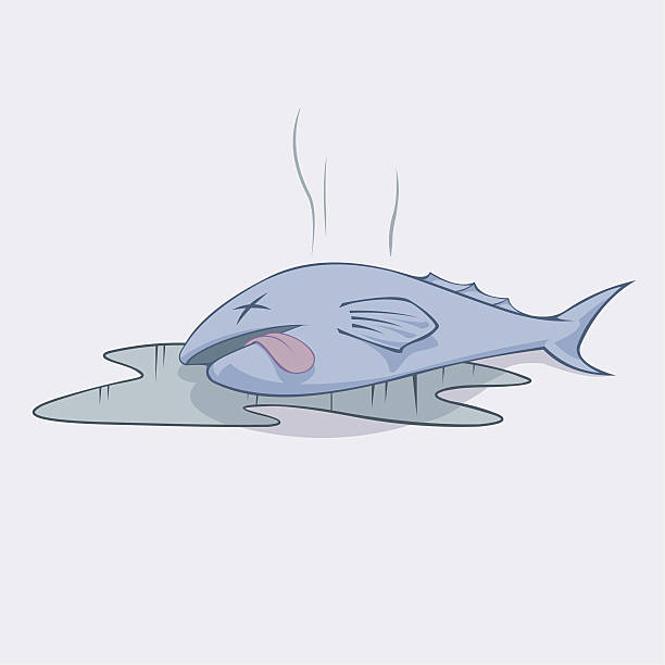 ilustraciones, imágenes clip art, dibujos animados e iconos de stock de smelly peces muertos - fish oil nature nutritional supplement healthcare and medicine