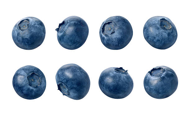 Many different blueberries sitting in a row of 4 Eight blueberries photographed separately, at different angles.  Blueberries are small, dark blue, edible fruit. The berries are isolated on a white background. blueberry photos stock pictures, royalty-free photos & images