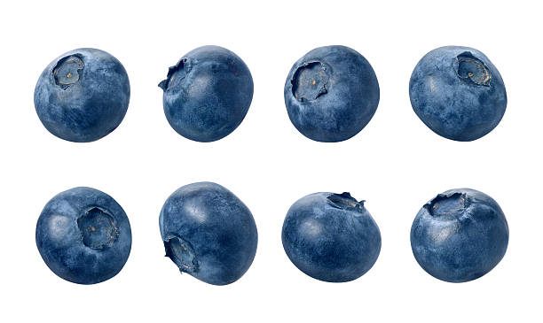 Many different blueberries sitting in a row of 4 Eight blueberries photographed separately, at different angles. Blueberries are small, dark blue, edible fruit. The berries are isolated on a white background. blueberry stock pictures, royalty-free photos & images