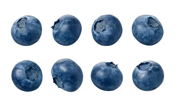Eight blueberries photographed separately, at different angles.  Blueberries are small, dark blue, edible fruit. The berries are isolated on a white background.