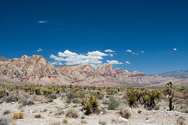 istock Red Rock Canyon Panoramic, Nevada, USA 164869334