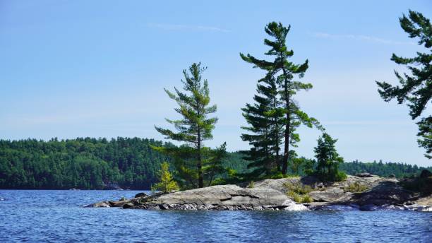 istock Pine Trees on Island in Georgian Bay 1648700127