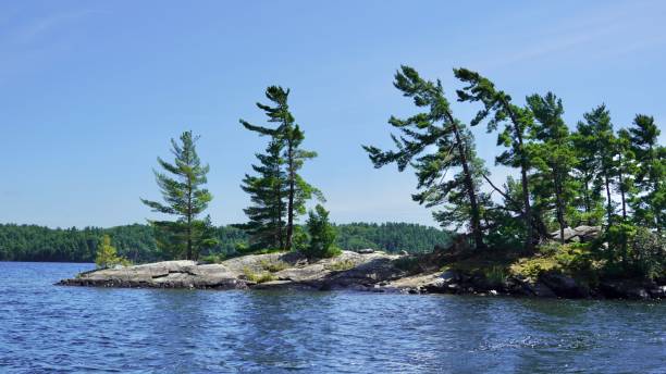 istock Pines and islands in Georgian Bay 1648700143