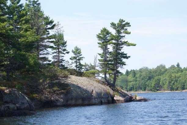 istock Pine Trees on Granite Outcrop, Georgian Bay 1648702827