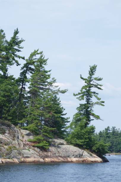 istock Pines in Echo Bay, Georgian Bay 1648703402