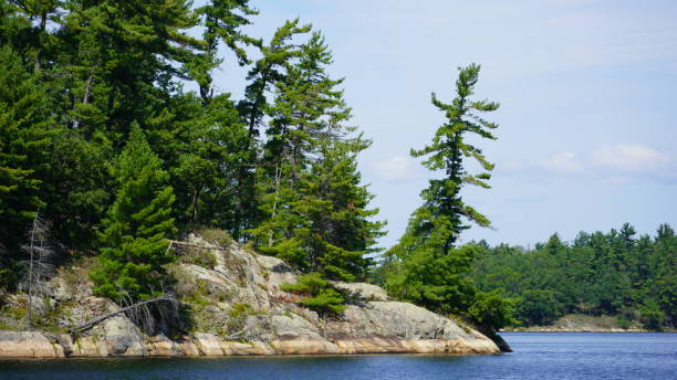 istock Pines and Granite in Massasauga Provincial Park Ontario 1648703433