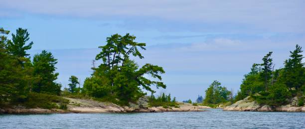 istock Windswept  Pines in Indian Harbour, Georgian Bay Ontario 1648704022