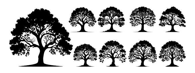 Trees silhouettes nature set vector. collection isolated tree Symbol silhouette style on white background.