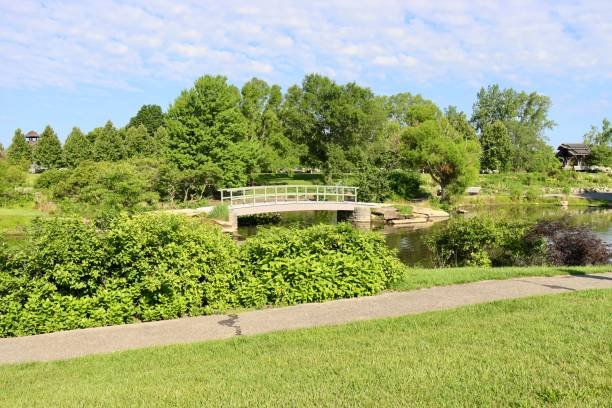 istock Footbridge in the Park 1648721406