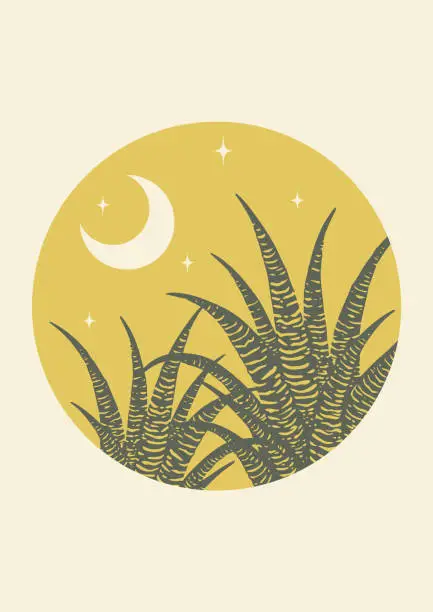 Vector illustration of Abstract aesthetic desert night with agave cactus illustration.