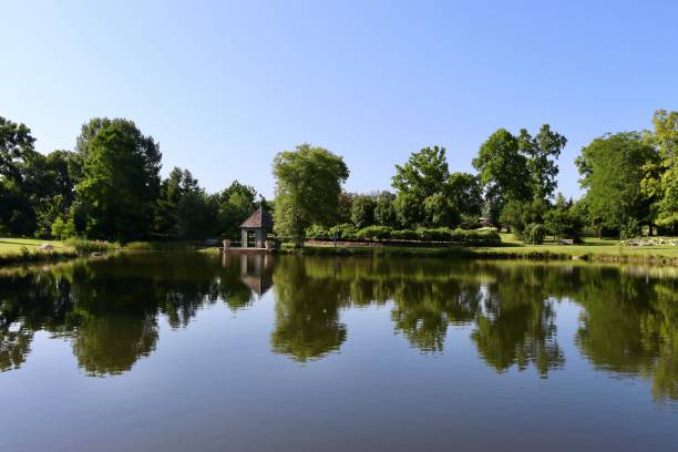 istock Peaceful Pond in the Country 1648725295