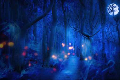 haunted forest in full moon night with spooky fog and lights, dark blue nature fantasy background for halloween, moonshine party or lantern festival