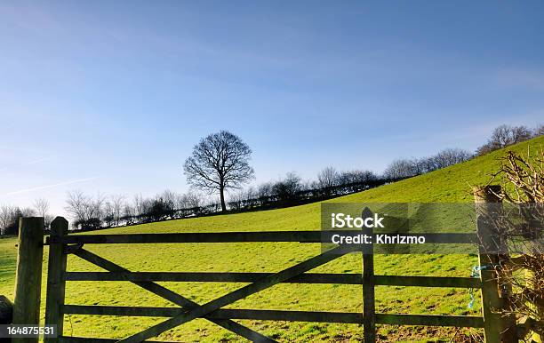 Blick Auf Ein Feld Gate Mit Baum Stockfoto und mehr Bilder von Agrarbetrieb - Agrarbetrieb, Anhöhe, Baum