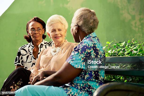 Grupo De Idosos De Raça Caucasiana E Negra No Parque Mulheres A Falar - Fotografias de stock e mais imagens de Terceira idade