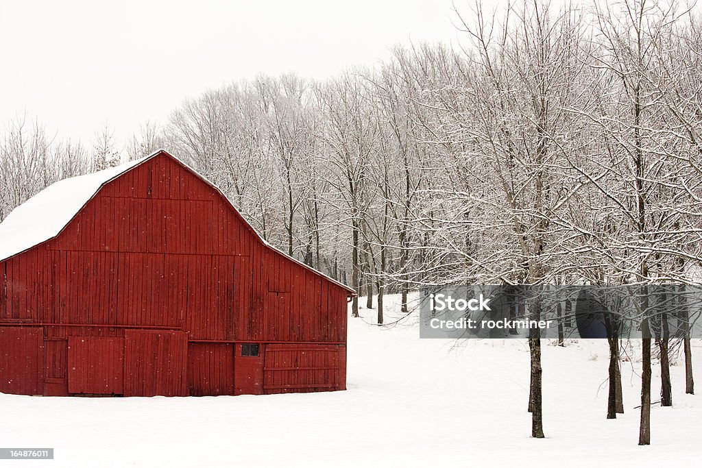 Rosso di un fienile in inverno - Foto stock royalty-free di Inverno