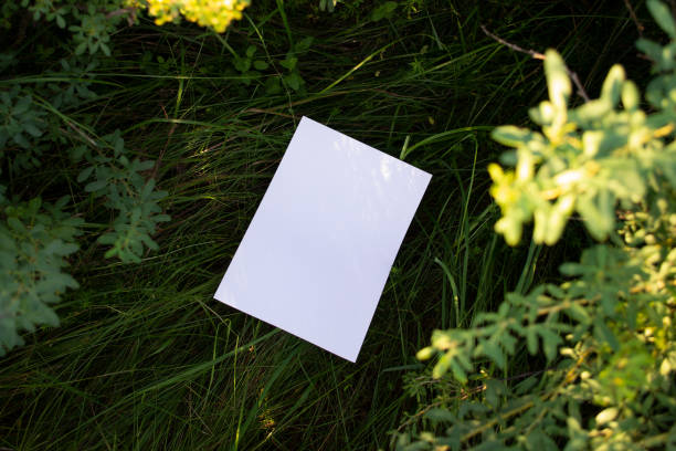 istock Mockup of white A4 sheet on green grass with blurred branches from a bush in the foreground. 1648767207