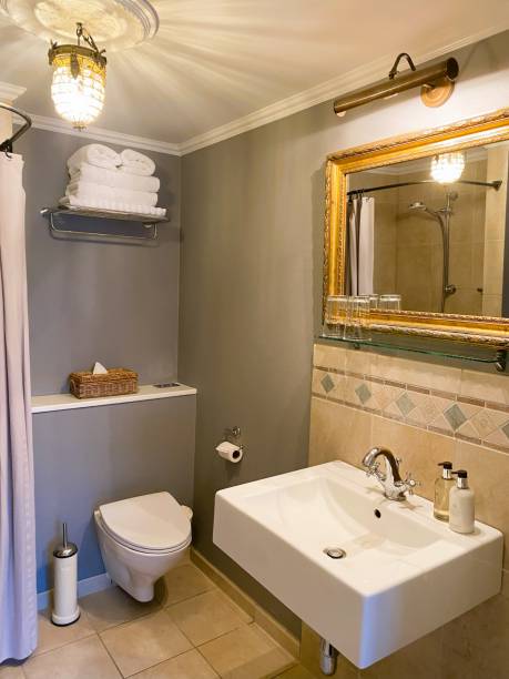 istock Sophisticated French Style Bathroom 1648771423