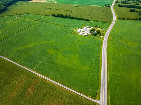 Aerial view of lush green farmland in Delaware during the summer season, captured from a high angle