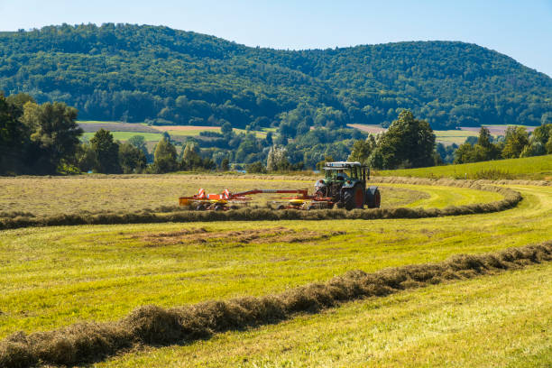 istock Hay harvest in Franconia/Germany 1648778489