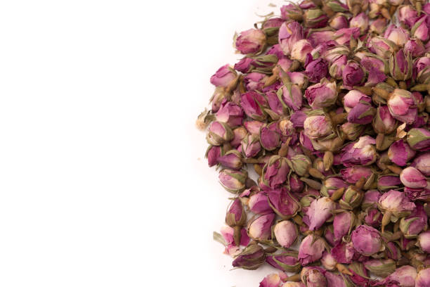 istock Dry tea roses isolated on white background. 1648798132