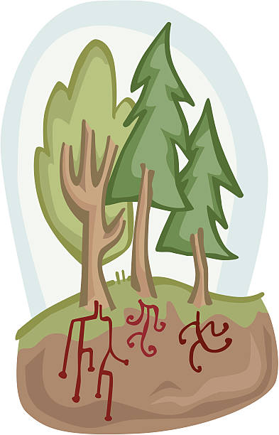 Dancing Roots and Trees vector art illustration