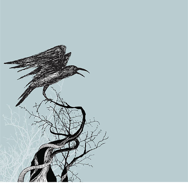 Crow avec ailes sur la succursale - Illustration vectorielle