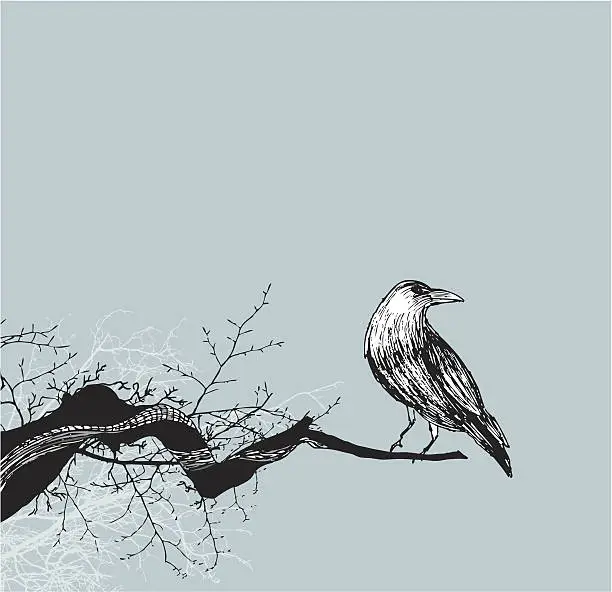 Vector illustration of Crow Branch