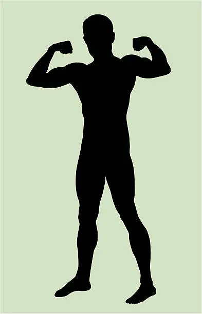 Vector illustration of Male body silhouette
