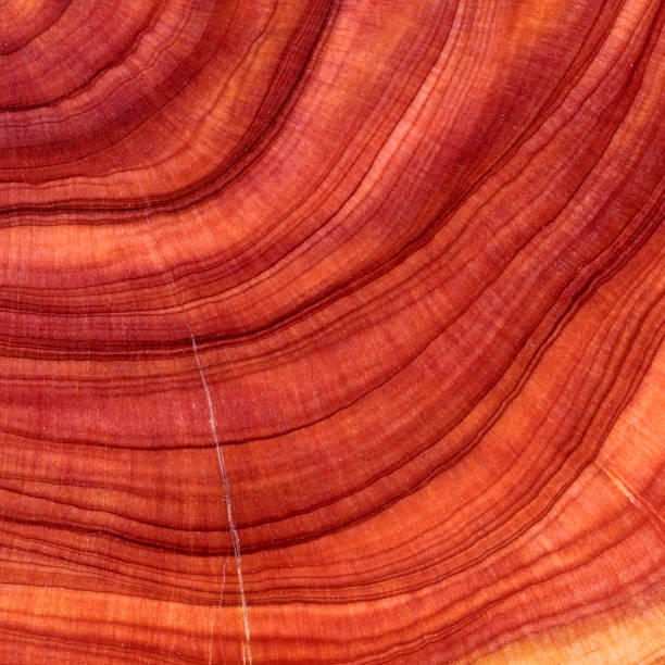 istock Rough and retro style surface of a natural texture. 1648822974