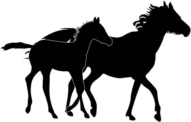 Mare and Foal Silhouette vector art illustration