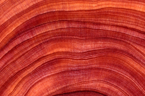 The wood is red and brown color with layers and lines like a rose petal. High angle view of a flat textured wooden board backgrounds. It has a beautiful nature and abstractive pattern. A close-up studio shooting shows details and lots of wood grain on the wood table. The piece of wood at the surface of the table also appears rich wooden material on it, shows elegant and soft textured. Flat lay style.