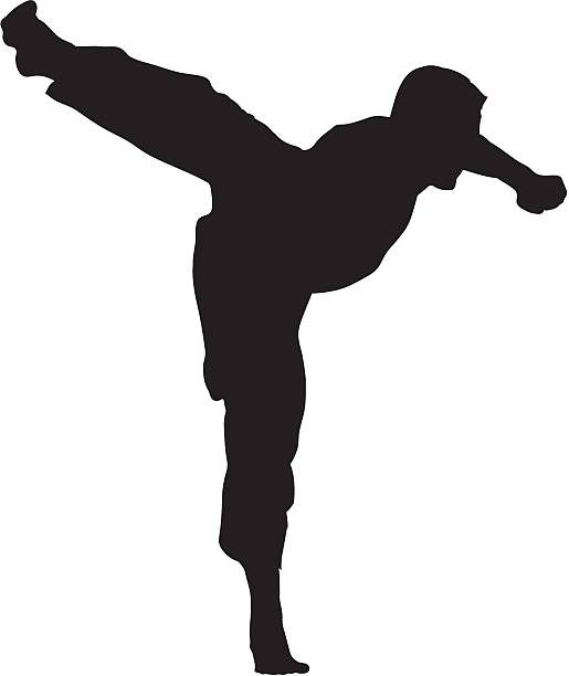 ilustrações, clipart, desenhos animados e ícones de karate lutador silhueta de chute - high kick illustrations