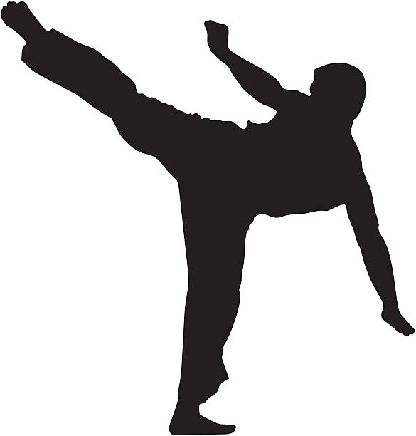 ilustrações, clipart, desenhos animados e ícones de karate lutador chutando#2 silhueta - high kick illustrations