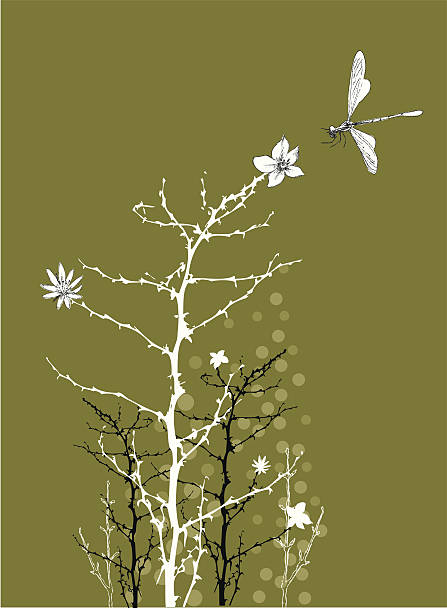 Branches and flowers with dragonfly Branches and flowers with dragonfly on green background digital composite nobody floral pattern flower stock illustrations