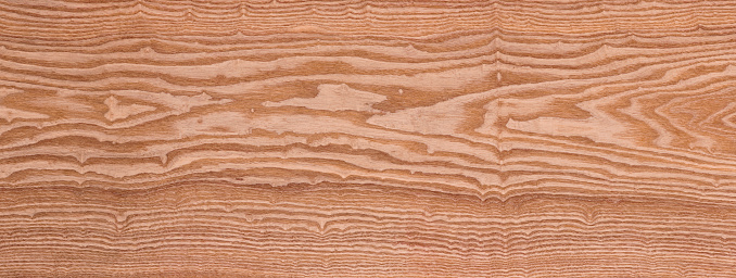 Cross-section of a cedar wood showing concentric growth rings and radial crack. Tree anatomy. Wood grain. Abstract background