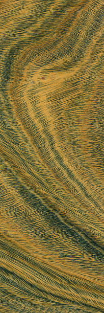 istock Green and brown PaloSanto wooden pattern. 1648836018