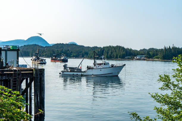 vue sur marina à ketchikan, alaska, états-unis - sport ketchikan alaska usa photos et images de collection