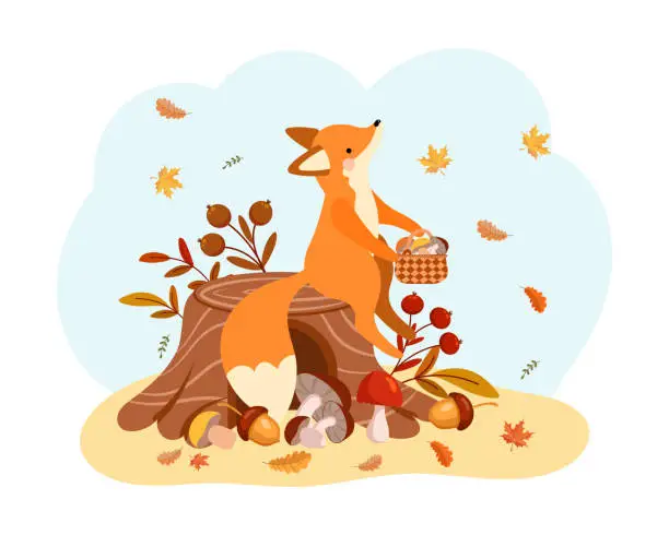 Vector illustration of A cute cartoon fox with a basket of mushrooms on a stump. Children's print, autumn illustration