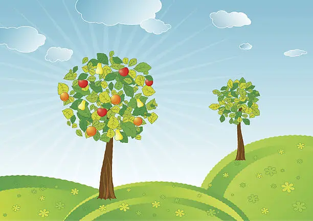 Vector illustration of spring fruit trees  - vector